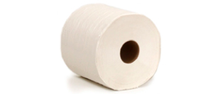 roll of toilet paper